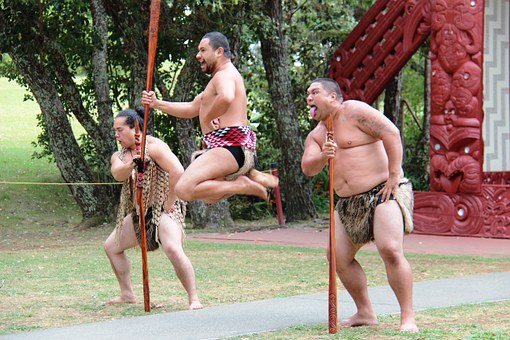 maori-113729__340